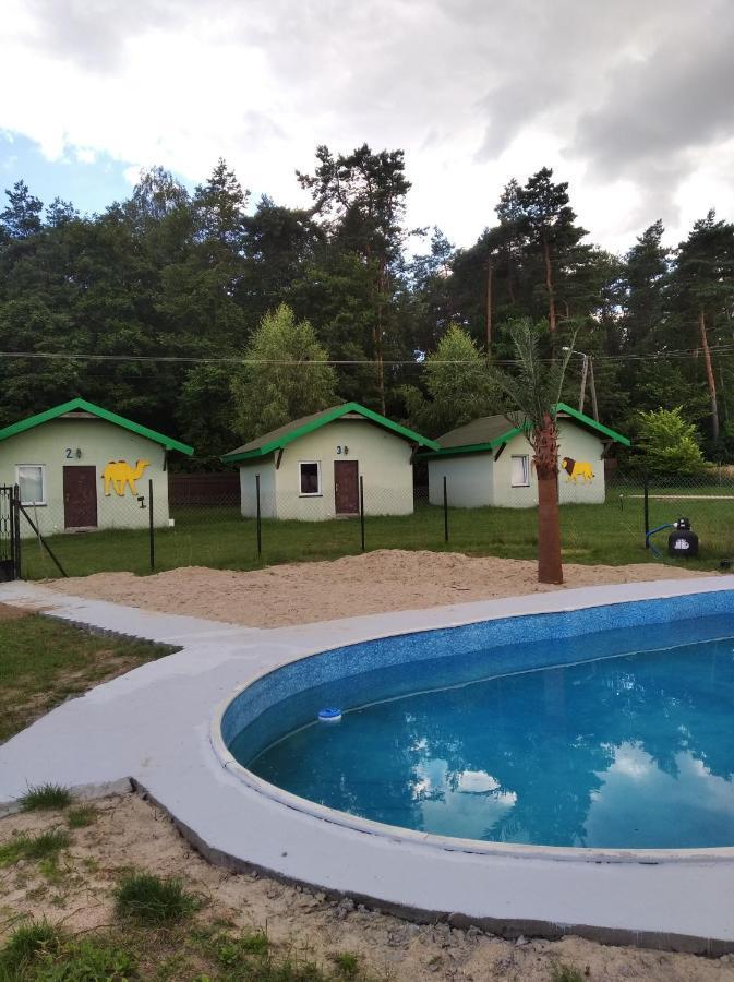 Domki Pod Lasem Płońsk Eksteriør bilde
