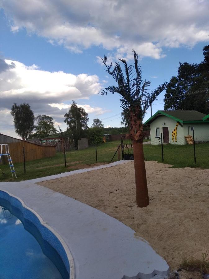 Domki Pod Lasem Płońsk Eksteriør bilde